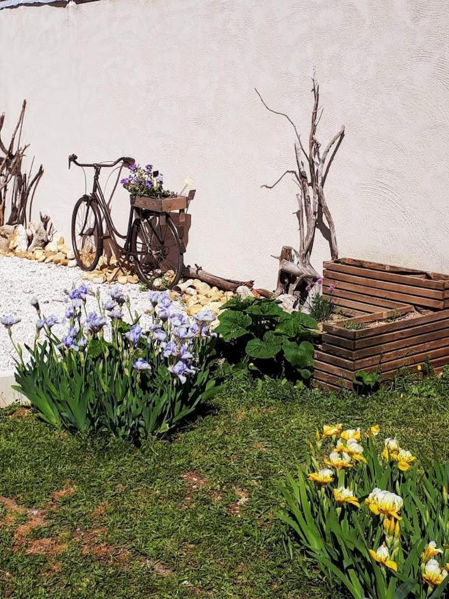 Les Coronilles Bed & Breakfast Saint-Maximin-la-Sainte-Baume Exterior photo